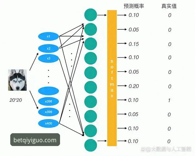 奇异果版本更新教程深度分析：从功能演进到用户体验的全景探索