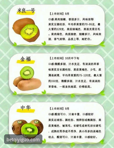 奇异果官网手机版 为什么选择奇异果官网手机版?从专业角度解析其核心价值与用户体验