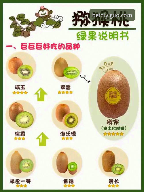 揭秘奇异果流畅播放背后的真相：哪个方案才是你的最佳选择？