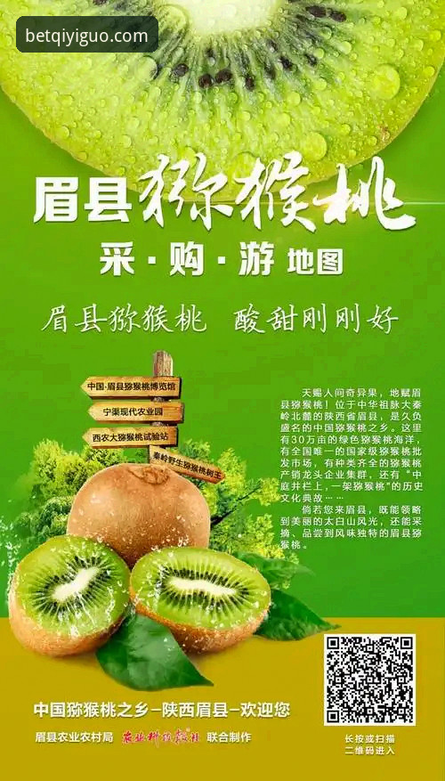 奇异果正版渠道教程详解：安全下载与使用指南